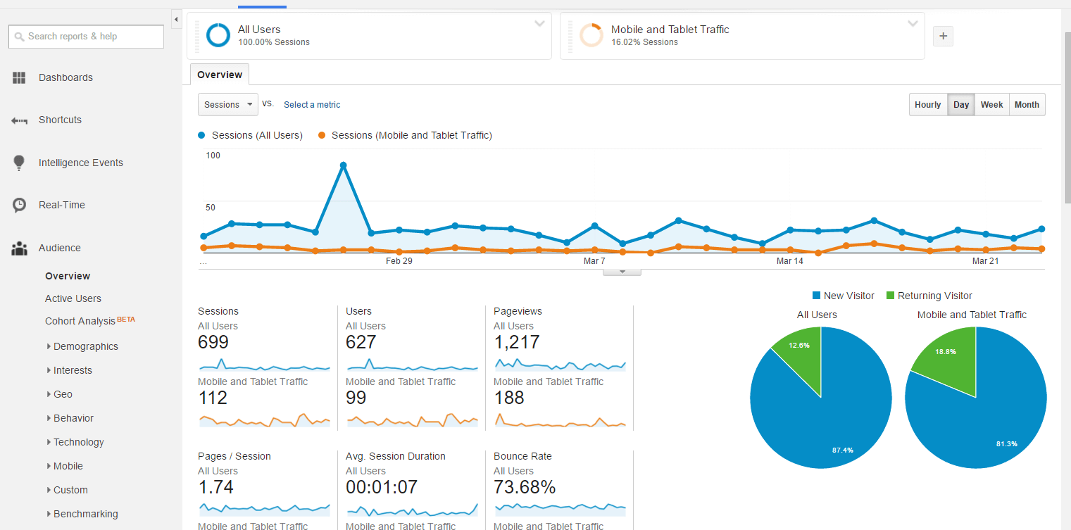Google-Analytics-Audience-Overview